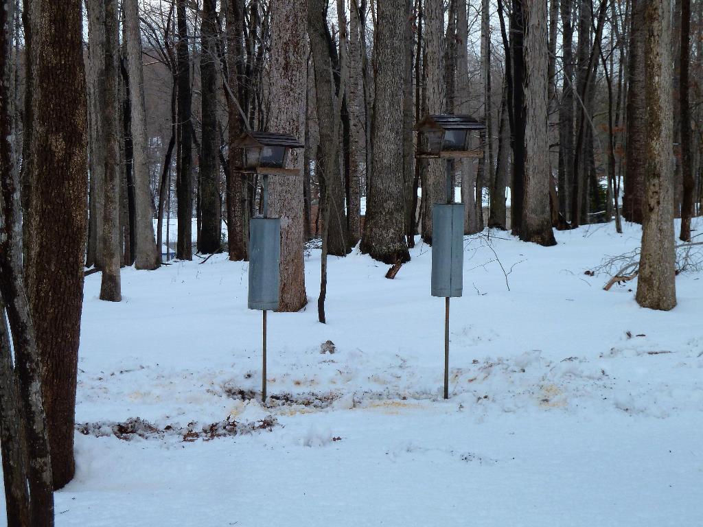 Snow Storm 2104